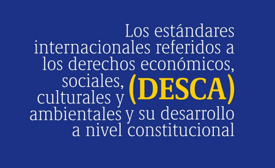 Estándares internacionales de derechos económicos, sociales, culturales y ambientales (DESCA) y su desarrollo a nivel constitucional Actualidad