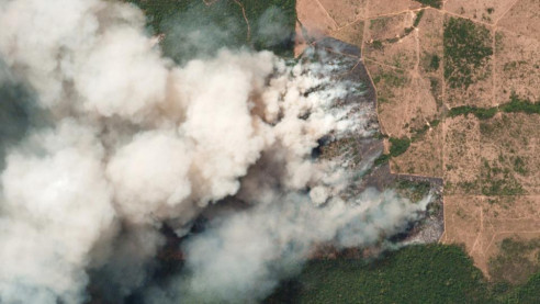 Alertan que el monóxido de carbono de los incendios en el Amazonía puede durar un mes en la atmósfera Medio Ambiente