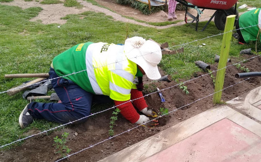 Facilitadores de Misión Sucre Productiva recuperan áreas verdes Venezuela
