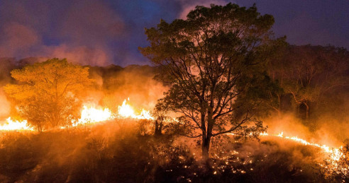 Brasil: despliegan Fuerza Nacional para combatir incendios en el Pantanal Actualidad