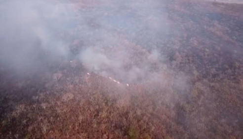 Venezuela ofrece ayuda para mitigar incendios en el Amazonas Latinoamérica