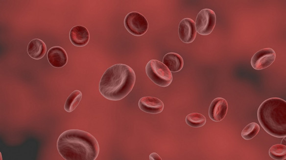 Revelan la que podría ser la causa de los coágulos de sangre tras vacunación Actualidad