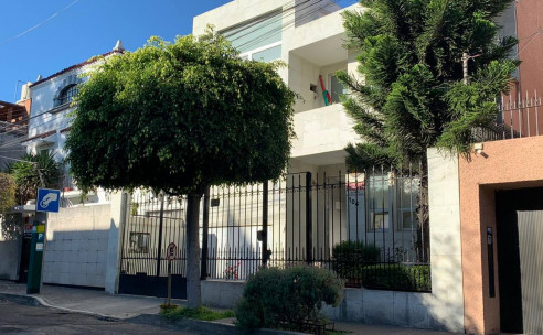 Bolivia reabrirá las embajadas cerradas por el gobierno de facto de Jeanine Áñez Actualidad