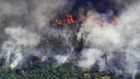 Incendio en el Amazonas: El fuego se extiende a Perú, Bolivia, Argentina y Paraguay Latinoamérica