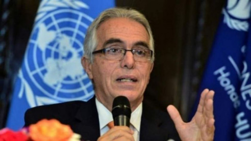 Áñez pide la cabeza del relator de la ONU que denunció persecución política en Bolivia Latinoamérica