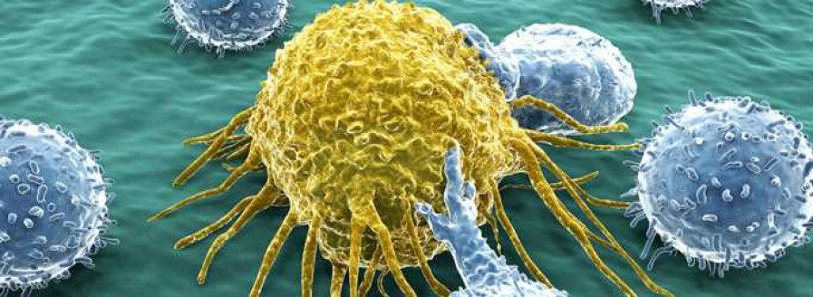 Comida, PH y Acidez ¿Cómo se relacionan con el Cáncer? Salud