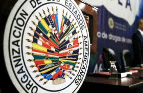 El MAS se opone a observación electoral de la OEA en Bolivia por sus preferencias políticas Latinoamérica