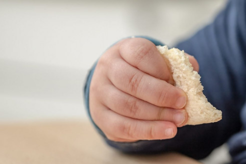 Investigadores elaboraron índice de riesgo de Obesidad Infantil a nivel comunal Alimentación