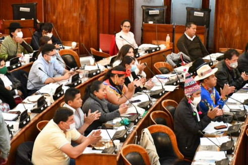 Aprueban en Bolivia impuesto a las grandes fortunas para la reactivación económica Actualidad