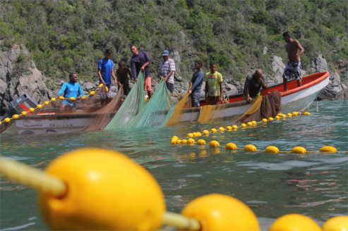 Fonpesca cerró 2021 con casi cuatro mil 800 financiamientos Venezuela