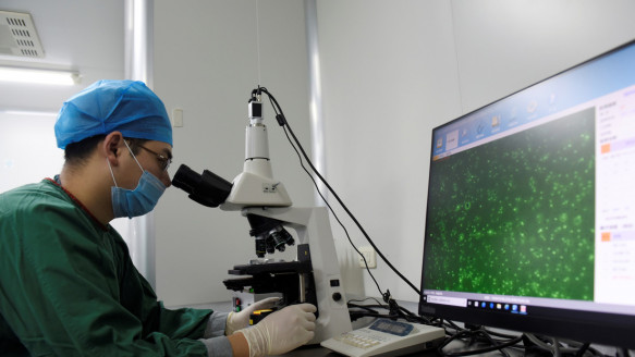 Un estudio revela el efecto del coronavirus en el semen Ciencia y Tecnologí­a