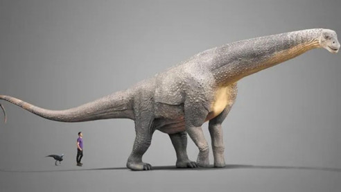 Científicos argentinos hallan fósiles del titanosaurio más antiguo del mundo (+Fotos) Ciencia y Tecnología
