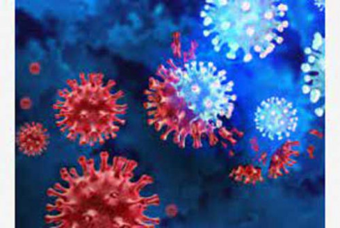 Detectan en Panamá linajes más transmisibles de la variante Ómicron Salud