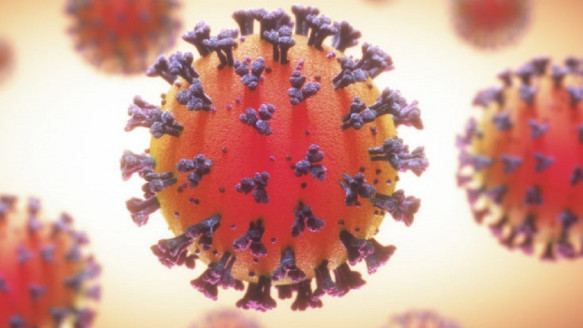Pacientes con infecciones leves de COVID-19 tienen una mejor memoria inmunológica que aquellos con síntomas graves Salud