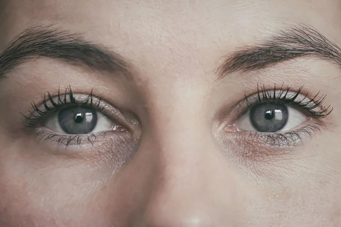 Logran revivir células fotosensibles en los ojos de donantes de órganos fallecidos Salud
