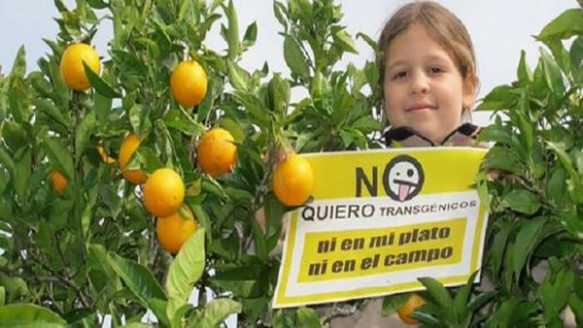 Consecuencias de los transgénicos en los seres vivos Salud