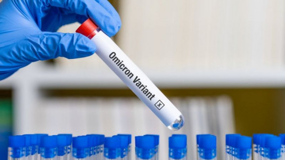 Covid-19: Subsecretaria de Salud informó sobre el estado de la variante Omicron en el país Chile
