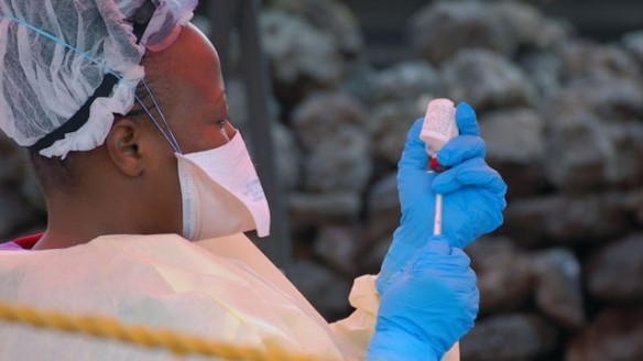 Descubren que el Ébola sobrevive a los tratamientos y permanece en los tejidos cerebrales Salud