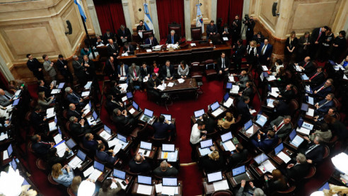 Solidarios: Senado de Argentina condenó golpe de Estado contra Morales en Bolivia Latinoamérica