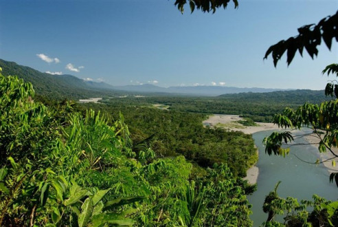 Destinan 140 millones de dólares para proteger Amazonía Peruana Medio Ambiente