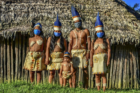 Deforestación, desplazamientos y crímenes: el impacto de la pandemia en la selva suramericana Reportajes & Investigación