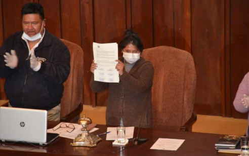 Congreso de Bolivia promulgó ley para celebrar elecciones en 90 días Latinoamérica