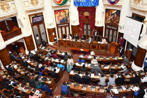 Por genocidio y otros delitos, Parlamento boliviano pide juicio de responsabilidades contra Áñez Actualidad