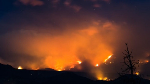 Fuerte incendio en la Patagonia argentina arrasa más de 7 mil hectáreas Latinoamérica