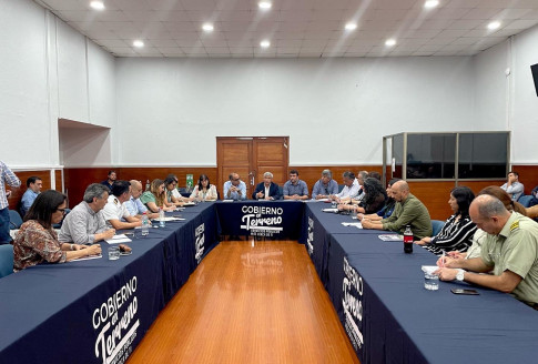 Sigue la expansión: confirman primeros casos de gripe aviar en las regiones de O’Higgins y Maule