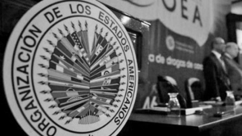 Nuevo informe ratifica que la OEA tergiversó datos y evidencias en auditoría sobre elecciones en Bolivia Bolivia