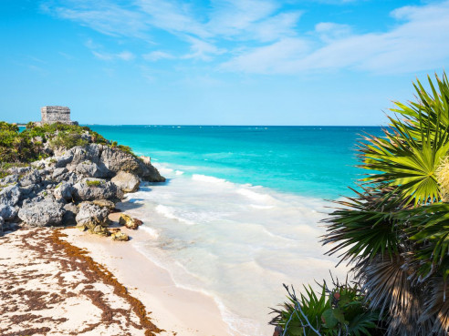 Tulum, ciudad maya a orillas del mar, enfrenta la invasión del sargazo Medio Ambiente