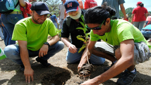 Más de 8 millones de árboles se han sembrado en Venezuela en 13 años Medio Ambiente