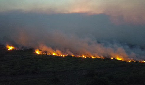 Incendios han consumido casi 33 mil kilómetros cuadrados en el Pantanal brasileño Latinoamérica