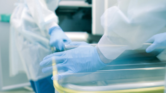 Alertan sobre presencia de un parechovirus en EE. UU. que causa convulsiones y meningitis en bebés Salud
