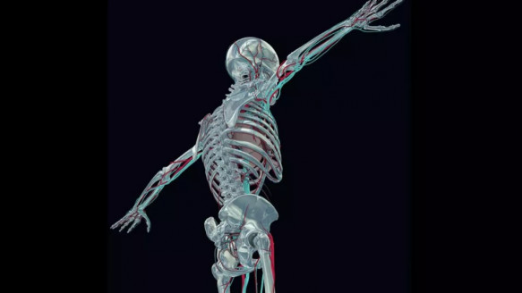 Científicos rusos diseñan implantes biocompatibles para personas que sufren de osteoporosis Actualidad