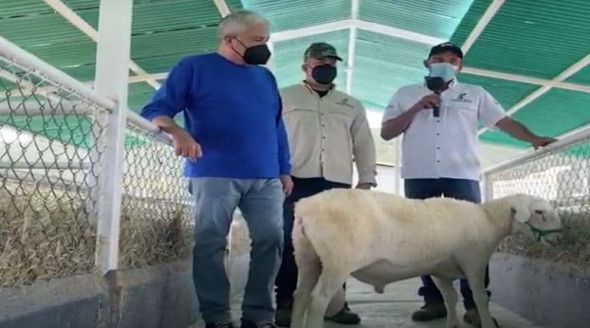 Complejo Valle de Quibor genera encadenamiento productivo con pequeñas empresas Venezuela