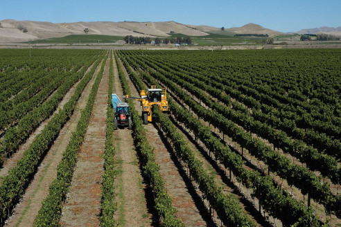 México desmiente a Trump y dice que pacto no incluye medida sobre producción agrícola Latinoamérica