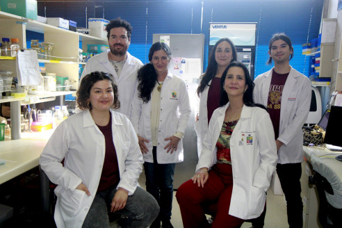 Científicos chilenos descubren que riesgo de padecer esquizofrenia podría detectarse en etapas tempranas de la vida Salud