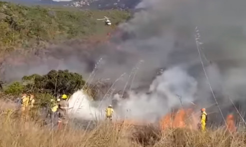 Incendio consume más de la mitad de reserva forestal del parque Juquery de Brasil Medio Ambiente