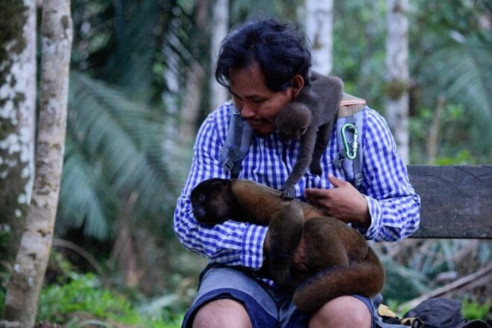 Jhon Jairo, el indígena que protege a monos huérfanos en el Amazonas Actualidad