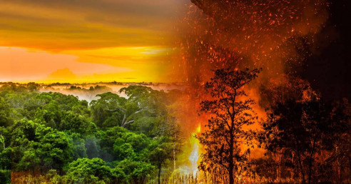 SOS Amazonía: ¿Por qué el incendio del pulmón del planeta es una desgracia global? Medio Ambiente