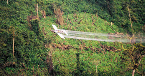 Preocupa a agricultores colombianos posible retorno de fumigaciones con glifosato para erradicar cultivos de coca Latinoamérica