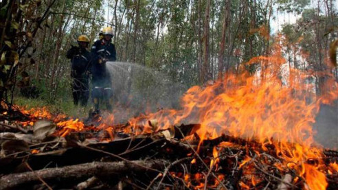 Incendios acaban con bosques en Guatemala: Casi 9 mil hectáreas consumidas en lo que va de año Latinoamérica