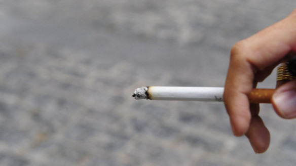 Comisión de Medioambiente aprueba proyecto que sanciona a quienes lancen colillas de cigarro en lugares públicos Chile