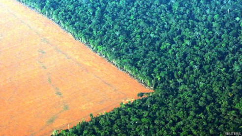 Destrucción del amazonía se acelera durante el gobierno de Bolsonaro Latinoamérica