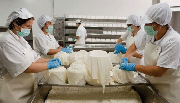 Lácteos Los Andes aumenta la producción de queso pasteurizado Venezuela